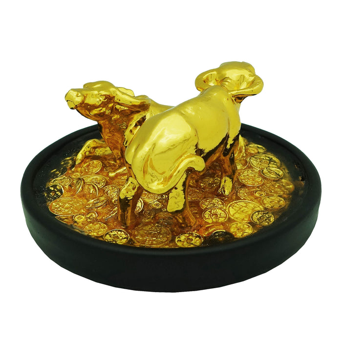 Golden Nacaifu Ox in Water