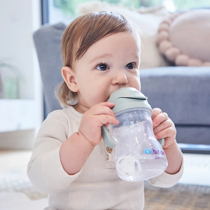 bbox Weighted Straw Sippy Cup 240ml - Assorted
