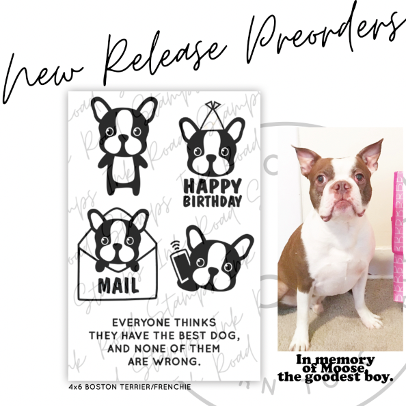 Boston Terrier/Frenchie