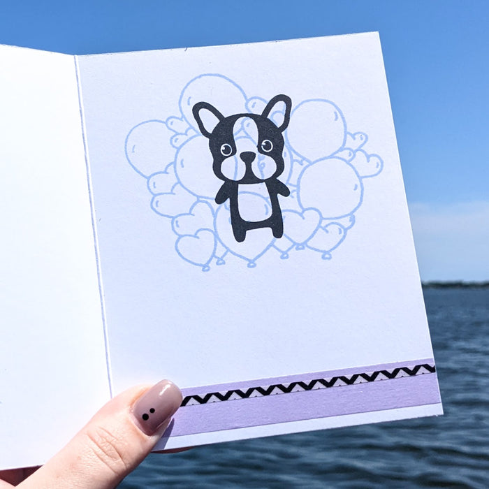 Boston Terrier/Frenchie