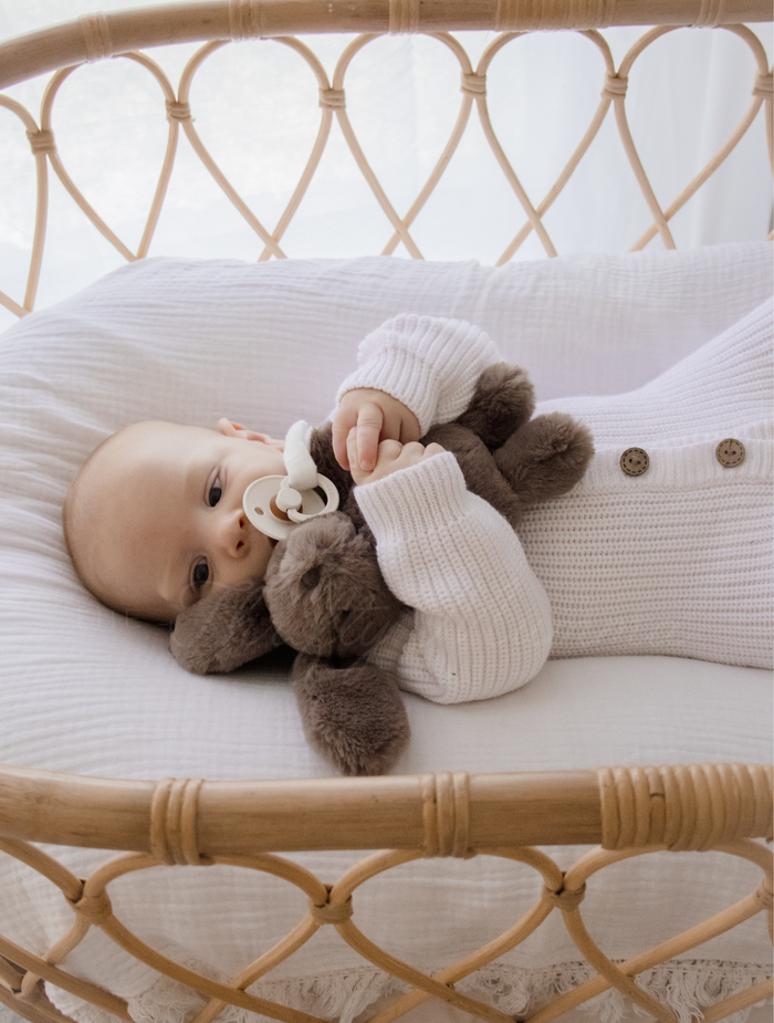Bunny Plush Toy & Dummy Holder - Assorted