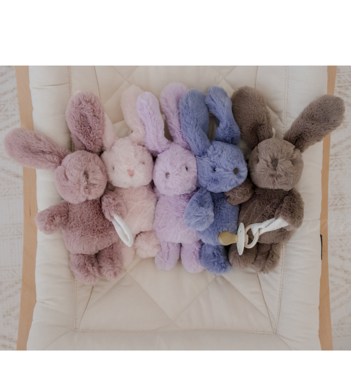 Bunny Plush Toy & Dummy Holder - Assorted