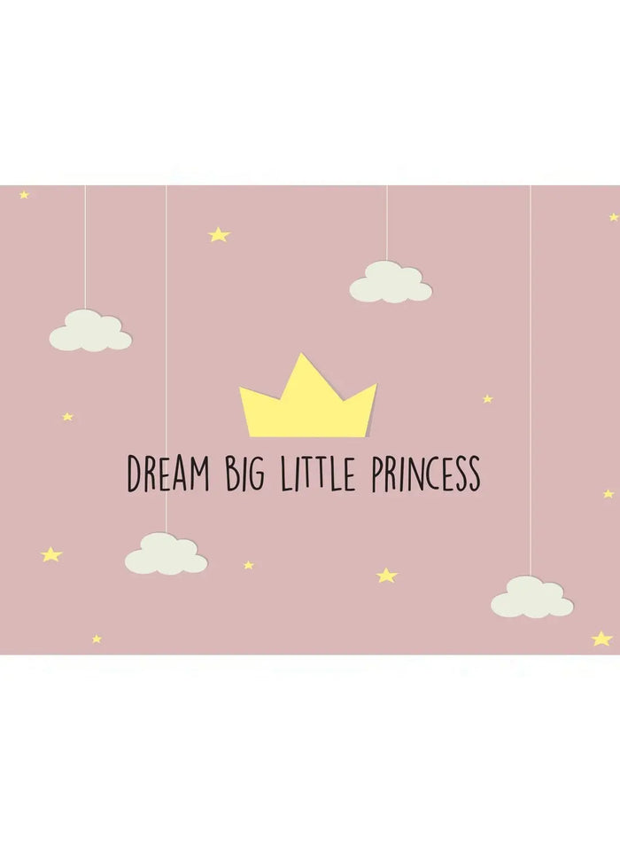 Dream Big Little Princess