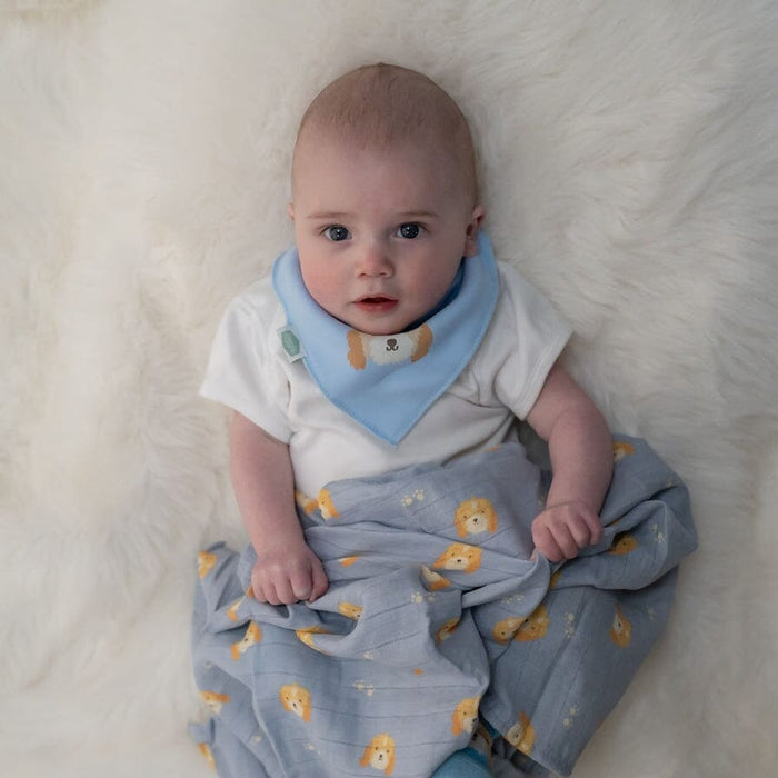 Ziggle Muslin - Cockapoo - 80 x 80 cm Swaddle Blanket Ziggle Baby