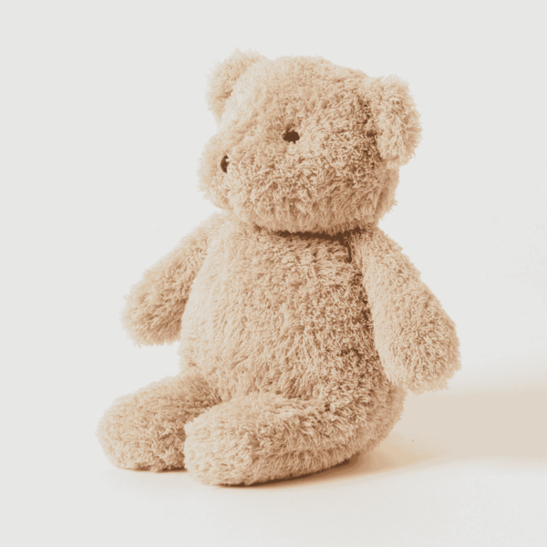 Cuddly Teddy Bear Plush Toy - Assorted