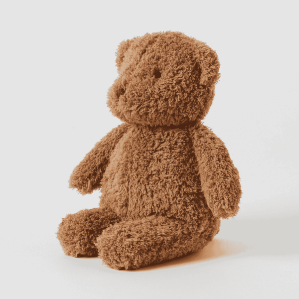 Cuddly Teddy Bear Plush Toy - Assorted