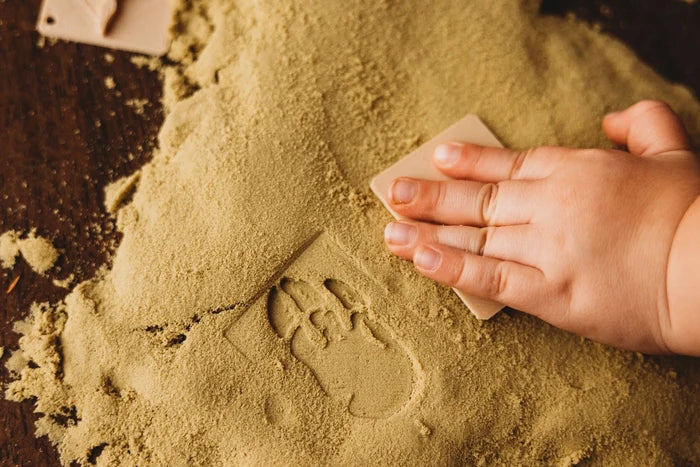 Dinosaur Foot Print Eco Stamp Set