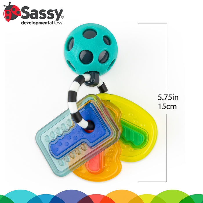 Drive n' Drool Rattle & Textured Teether Keys