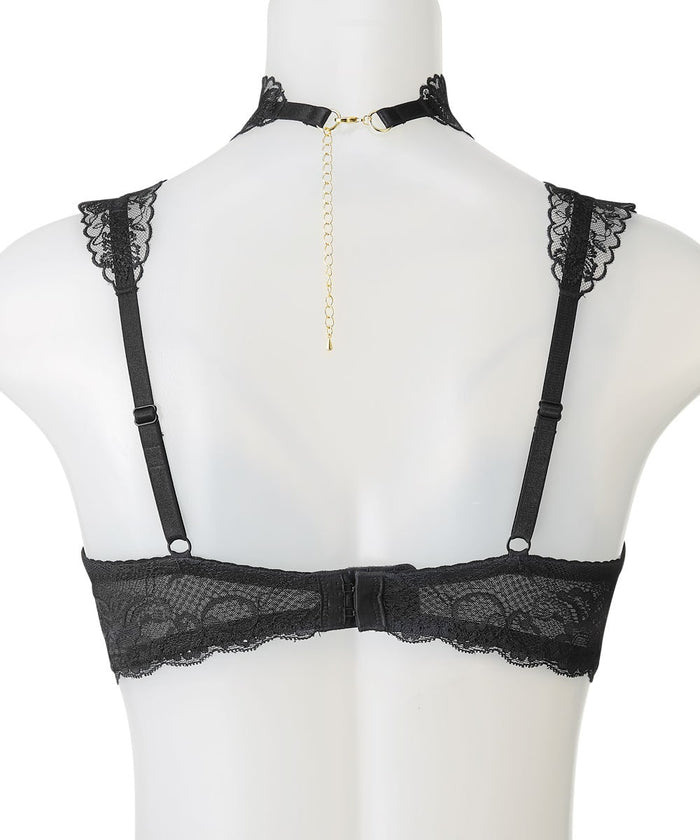 Embroidered Lace Push-Up Bra
