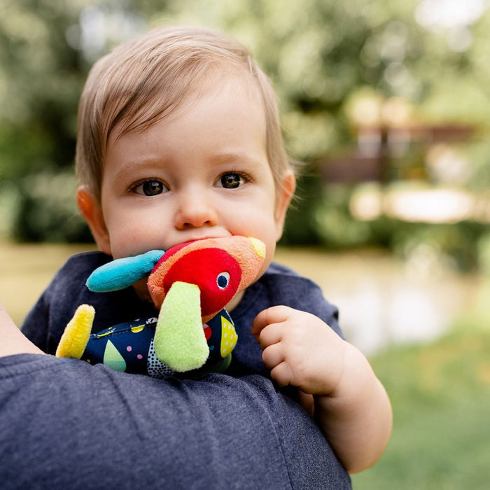 Fehn Dog Sensory Toy & Teether