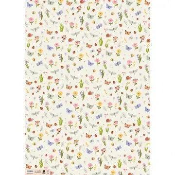 Butterflies & Flowers