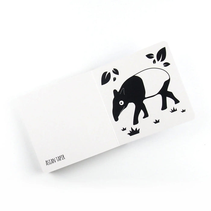 High Contrast Baby Book - Southeast Asian Animals Book The Little Black & White Book Project