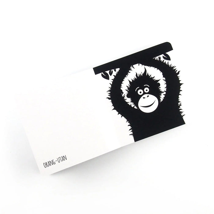 High Contrast Baby Book - Southeast Asian Animals Book The Little Black & White Book Project