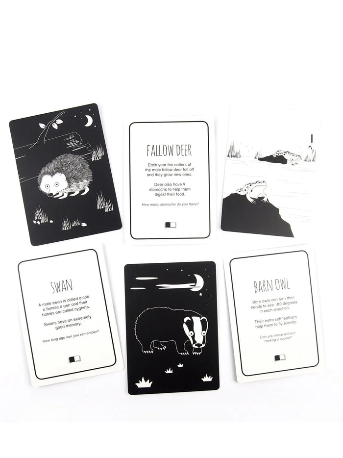 High Contrast Baby Flash Cards - Animals of Great Britain Book The Little Black & White Book Project