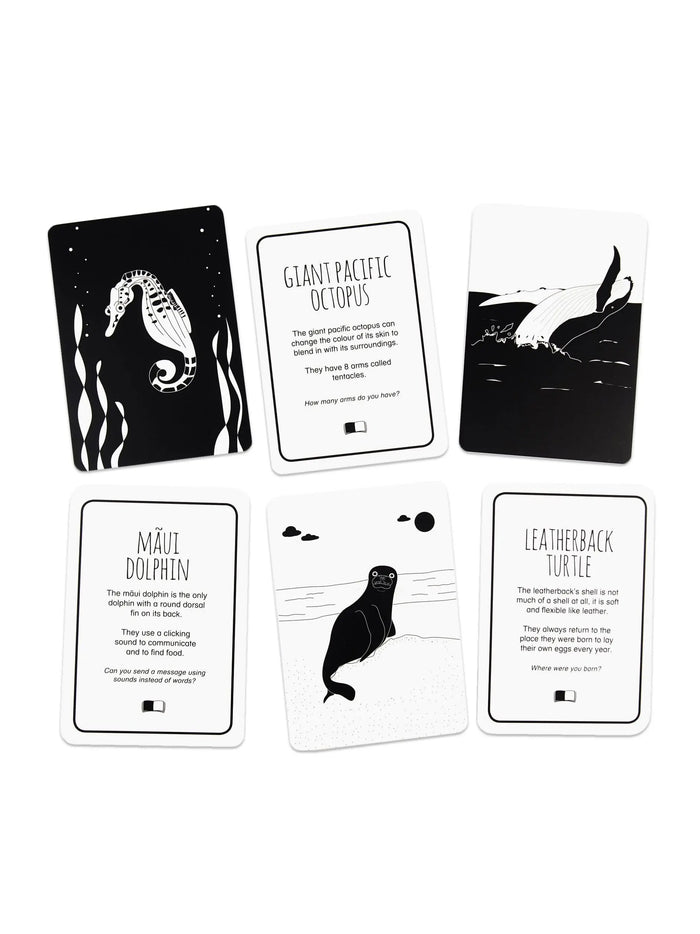 High Contrast Baby Flash Cards - Ocean Animals Book The Little Black & White Book Project