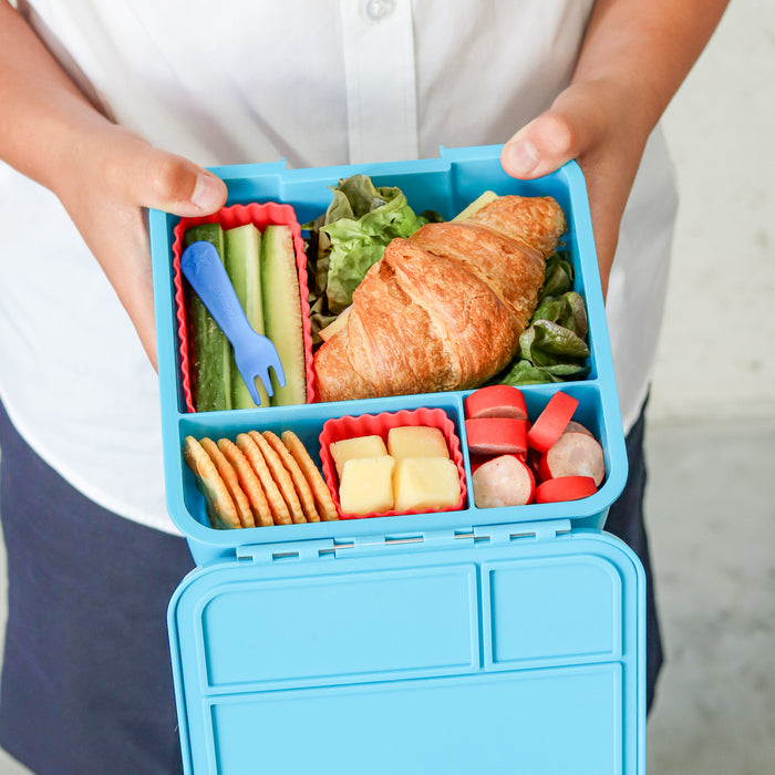 Montiico Bento Three Lunch Box - Coastal