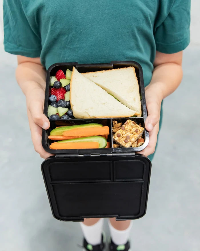 Montiico Bento Three Lunch Box - Dinosaur Land