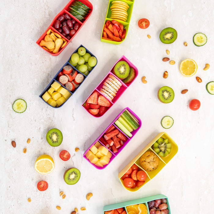 Montiico Feast Silicone Bento Lunch Trays - Assorted