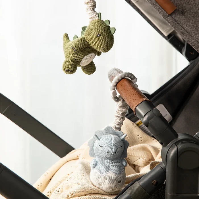 Pram/Stroller Toy Set - Dinosaurs