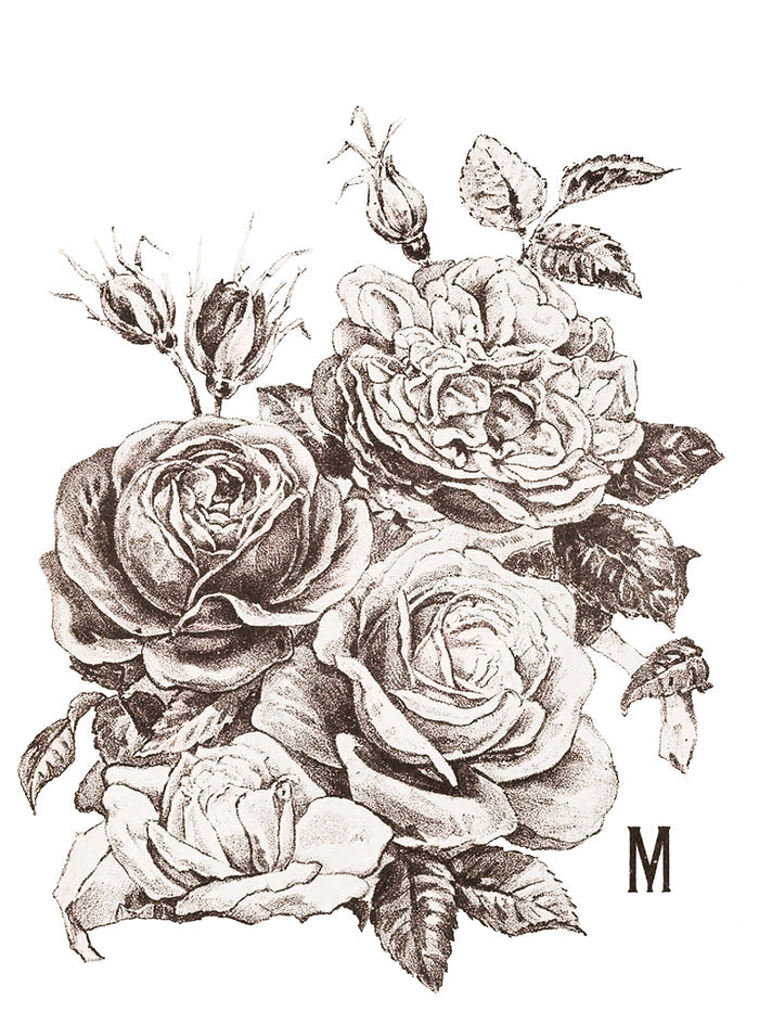 RETIRED May’s Roses IOD Transfer 12×16