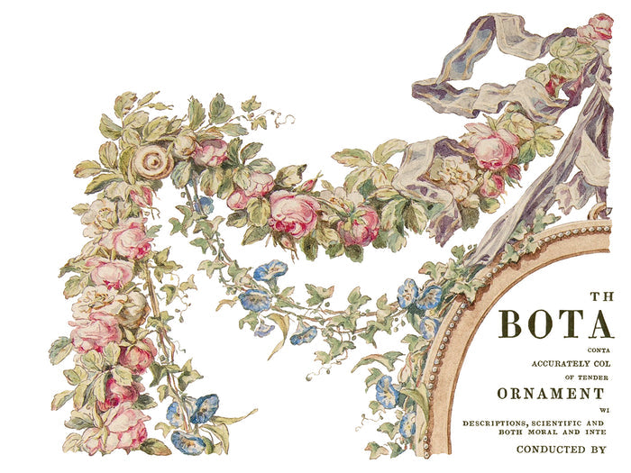 RETIRED The Botanist  IOD Transfer (Retired) 12×16