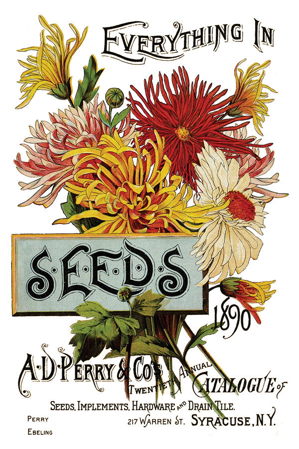 Seed Catalog  IOD Transfer 8×12