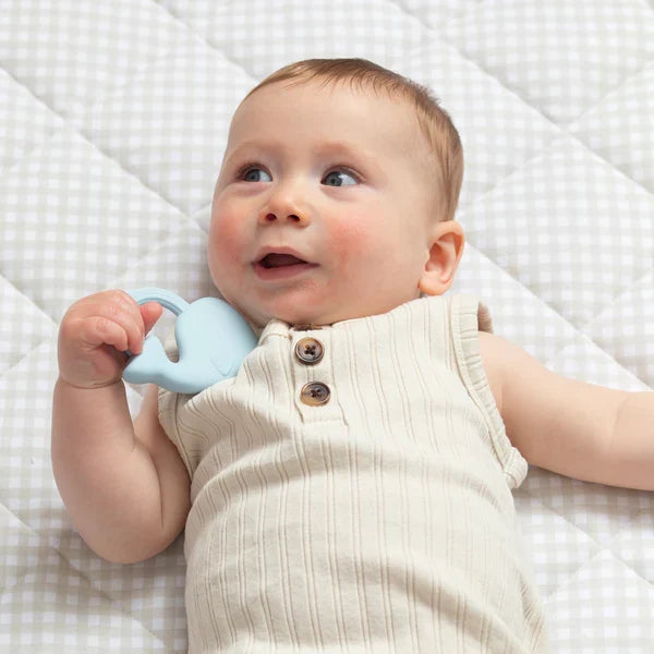 Silicone Teether 2 Pack - Cloud & Whale