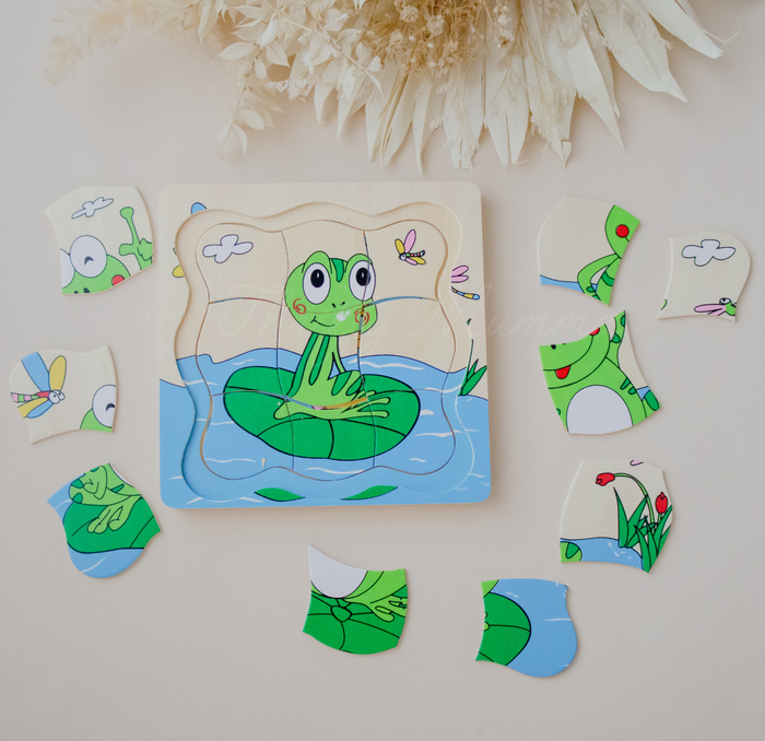 Timber Frog Life Cycle 4 Layer Puzzle