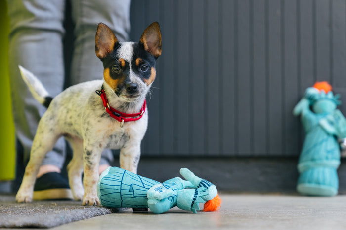 P.L.A.Y. Totally Touristy Statue of Liberty Dog Toy - both sizes of toy pictured with puppy