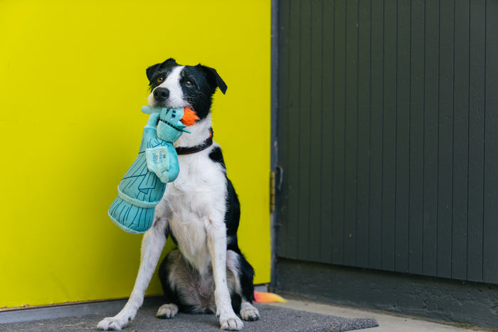 P.L.A.Y. Totally Touristy Statue of Liberty Dog Toy - Medium sized pictured in black and white dog's mouth